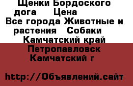Щенки Бордоского дога.  › Цена ­ 30 000 - Все города Животные и растения » Собаки   . Камчатский край,Петропавловск-Камчатский г.